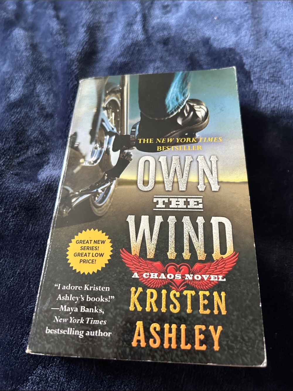 Own the Wind by Kristen Ashley